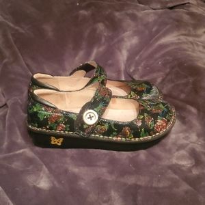 Alegria Paloma Winter Garden